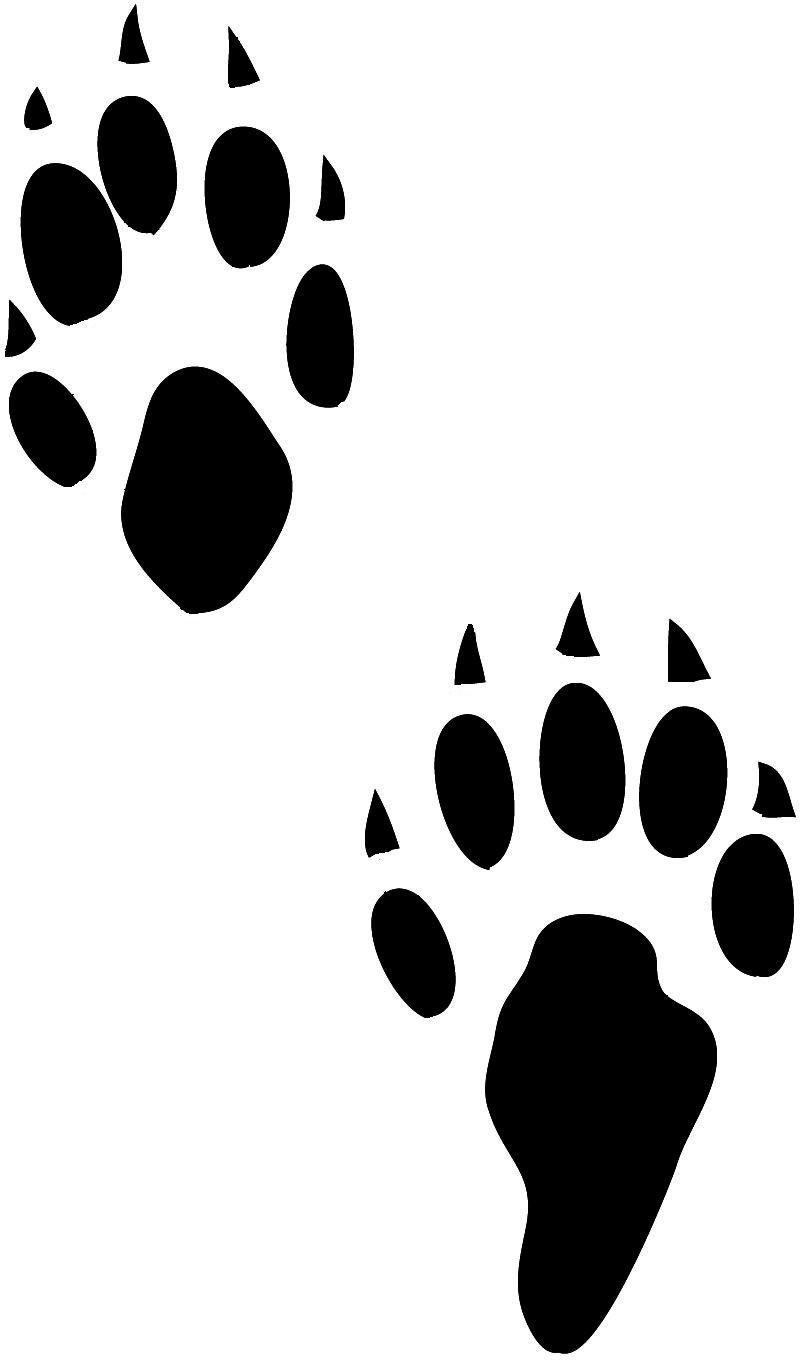 Free Bunny Footprints Cliparts, Download Free Bunny Footprints Cliparts