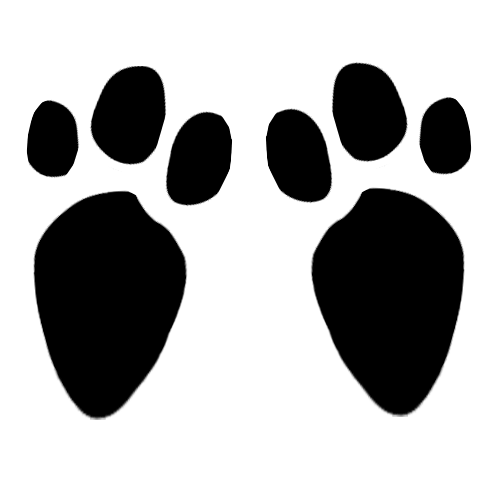 Free Bunny Footprints Cliparts, Download Free Bunny Footprints Cliparts