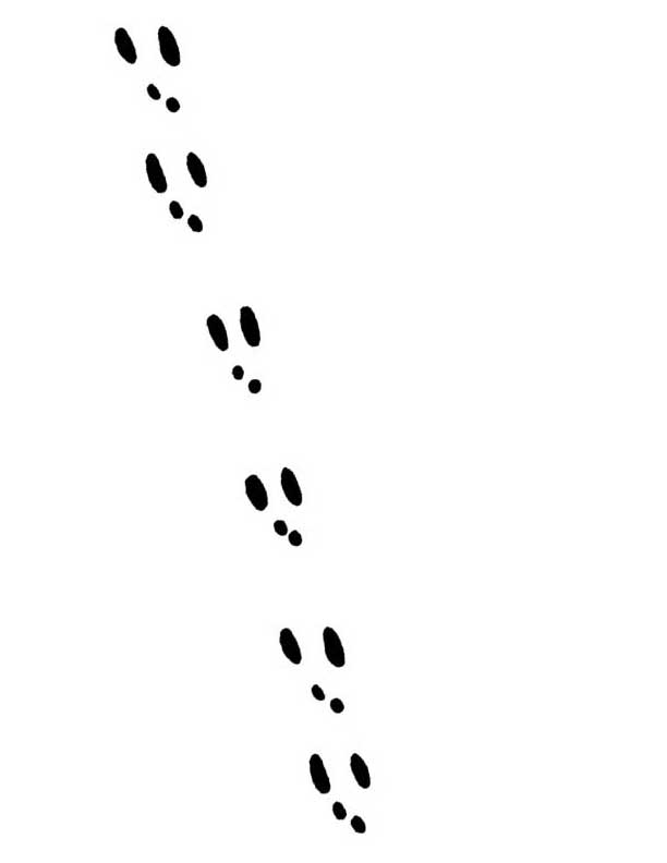 Free Bunny Footprints Cliparts Download Free Bunny Footprints Cliparts