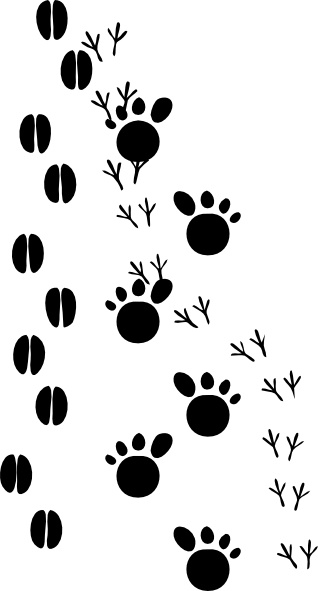 Rabbit footprints clipart
