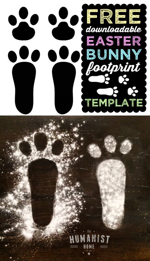 Free Bunny Footprints Cliparts, Download Free Bunny Footprints Cliparts