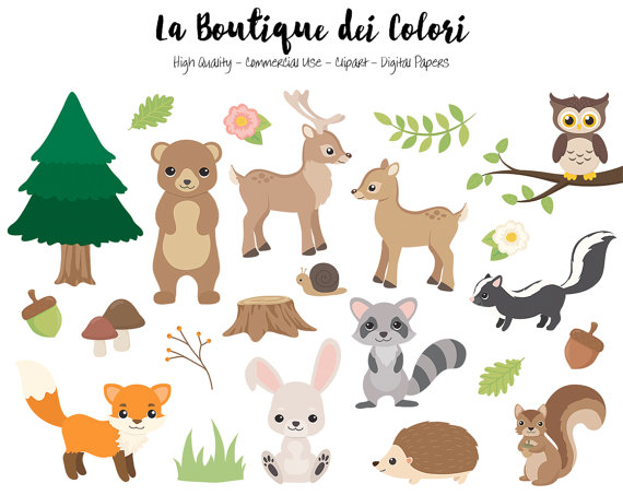Woodland Animals Clipart Cute Digital by LaBoutiqueDeiColori