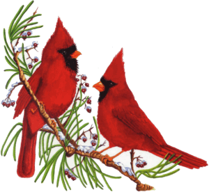 Free Cardinal Winter Cliparts Download Free Clip Art Free Clip Art On Clipart Library