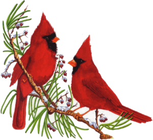 Free Cardinal Winter Cliparts, Download Free Cardinal Winter Cliparts