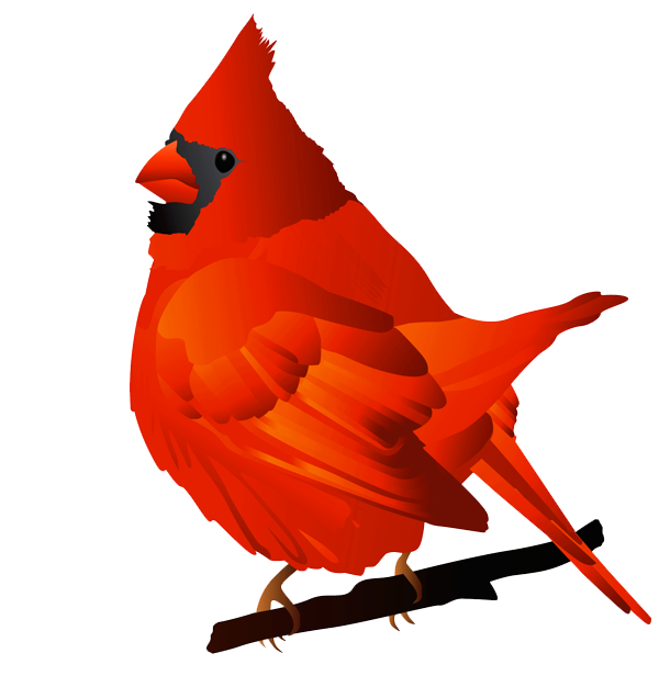 Winter cardinal clipart