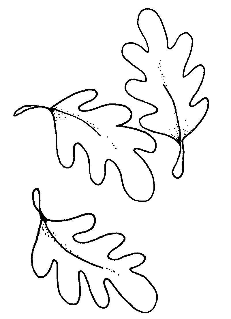 Black And White Leaves Clipart