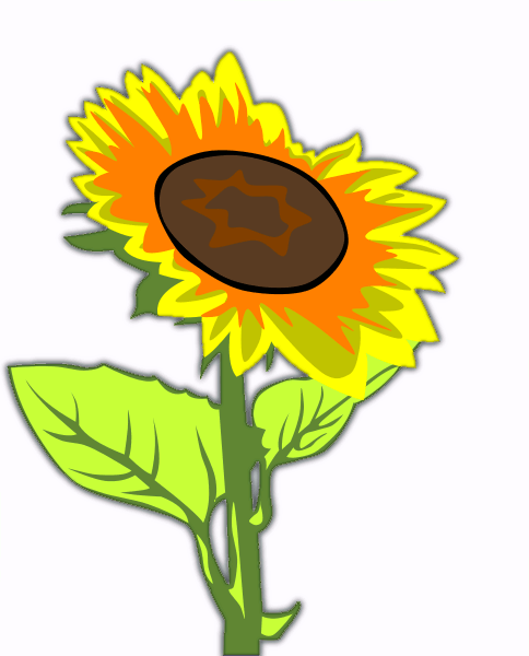 Sunflowers Cartoon