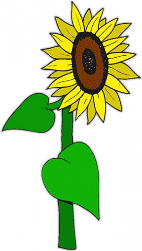 Free Sunflowers