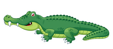 Crocodile cute baby alligator clipart free image
