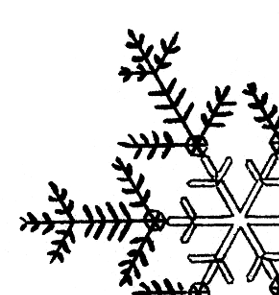 Snowflake Clipart Black And White Border