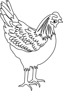 Clipart chicken black and white