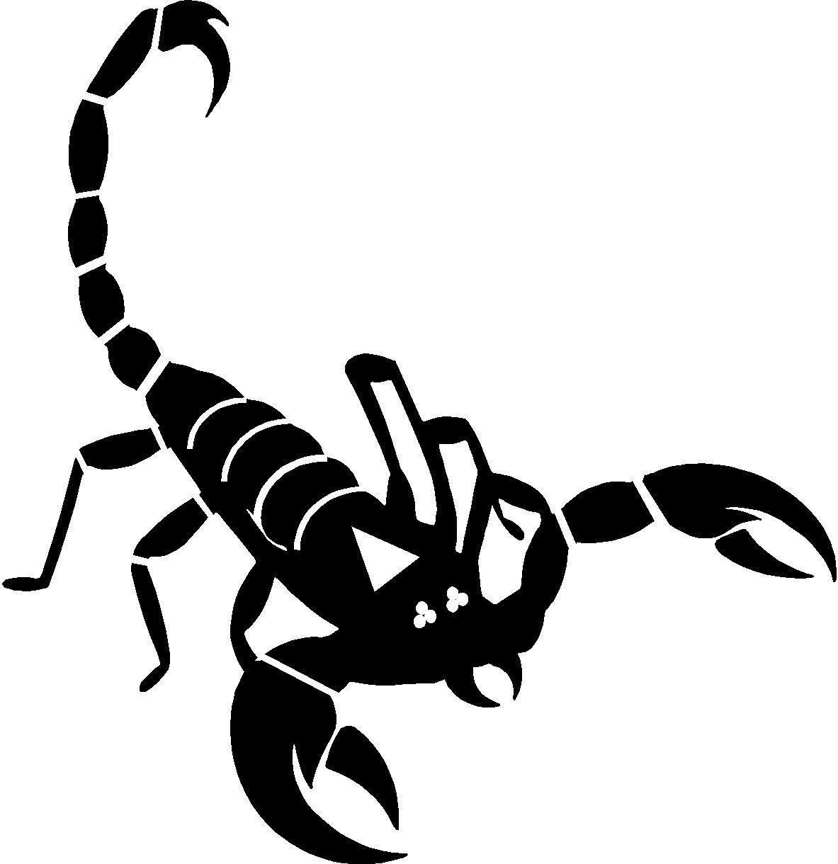 scorpions png - Clip Art Library