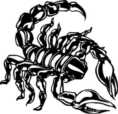 Black scorpion drawing