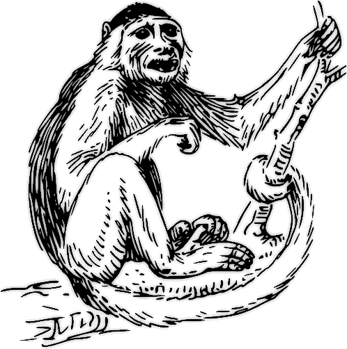 Free Black and White Monkey Clipart, 1 page of Public Domain Clip Art