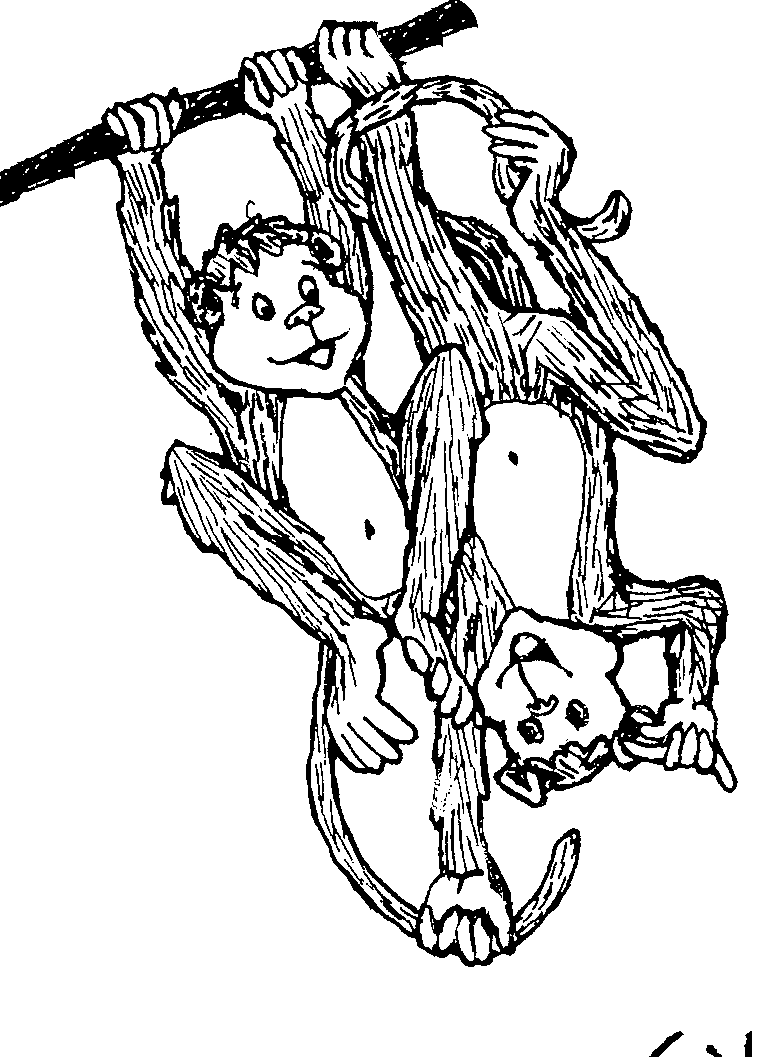 Monkey on a tree clipart black and white