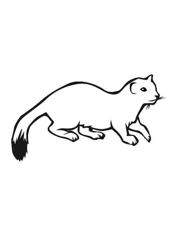 Free ermine coloring pages