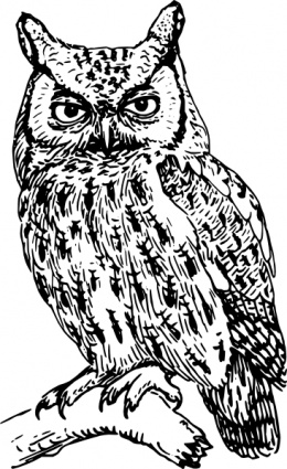 Owl clip art Free Vector