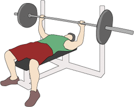 Free Muscular Strength Cliparts, Download Free Muscular Strength
