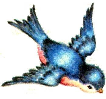 Vintage Bluebird Clipart