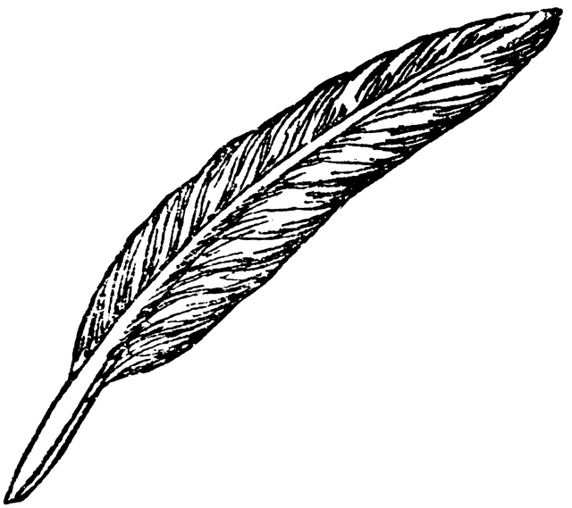 White Quill Clip Art � Clipart Free Download