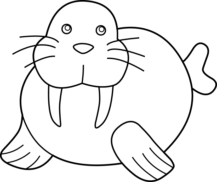 Seal clipart black and white