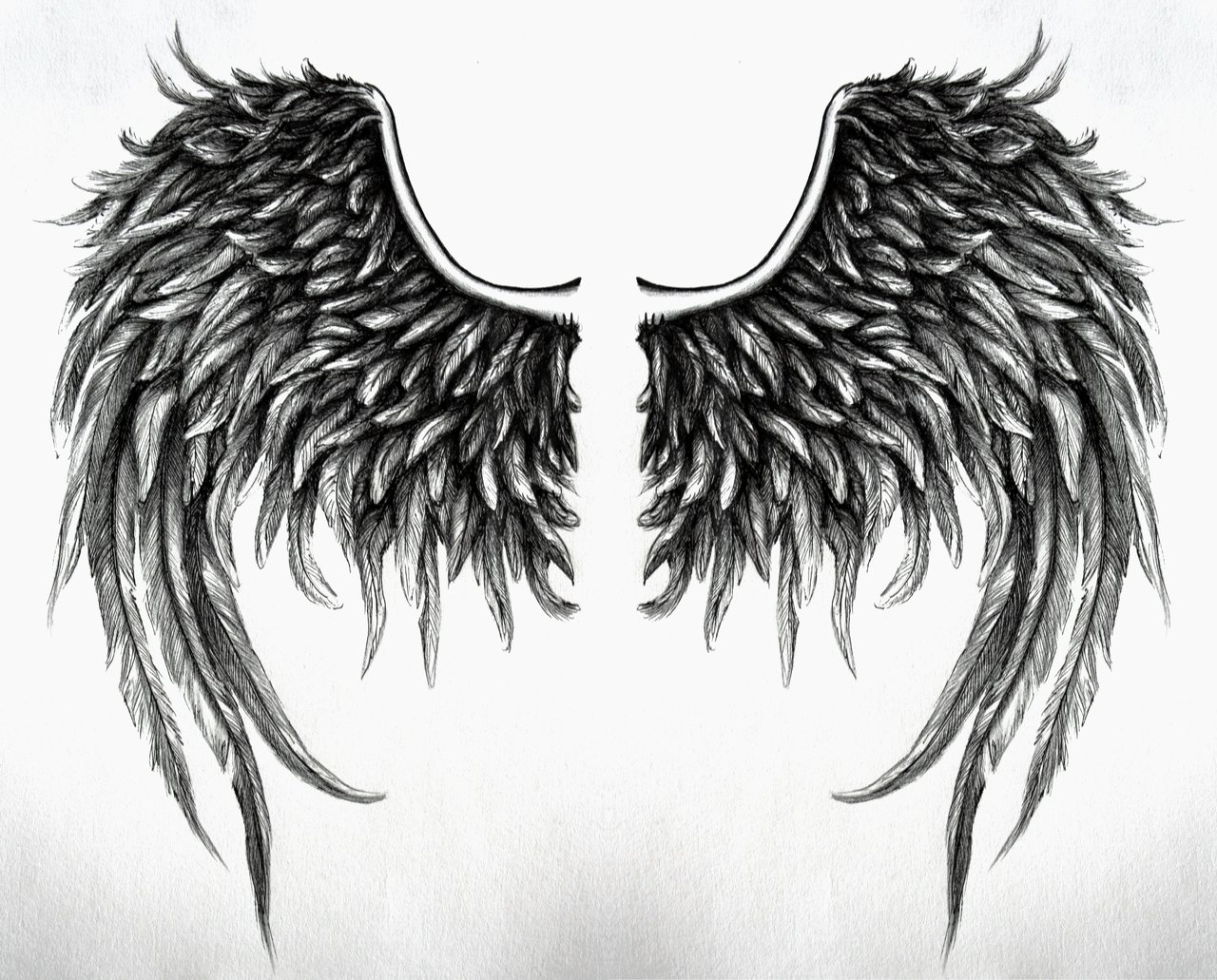 arena clipart clip art of a set of spooky gothic angel wings with