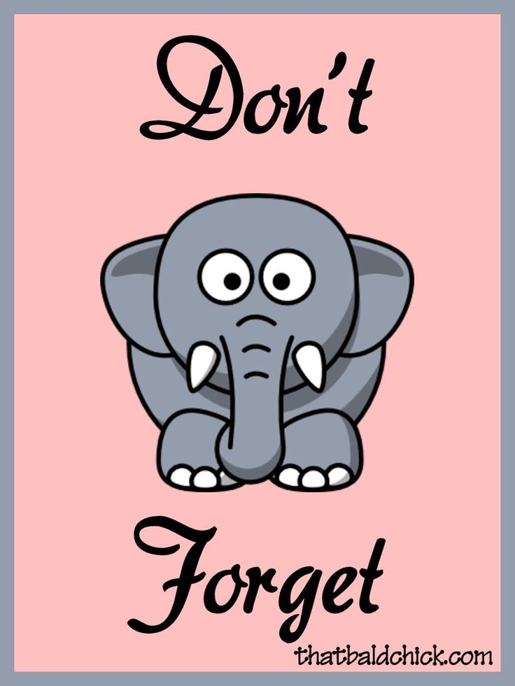 don t forget elephant clipart pictures