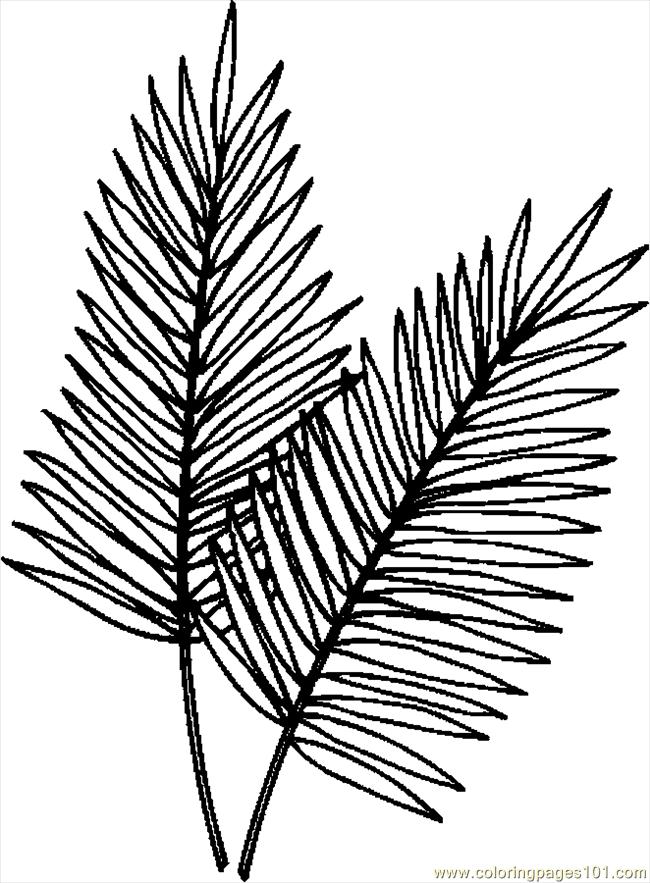 colour in palm leaves - Clip Art Library