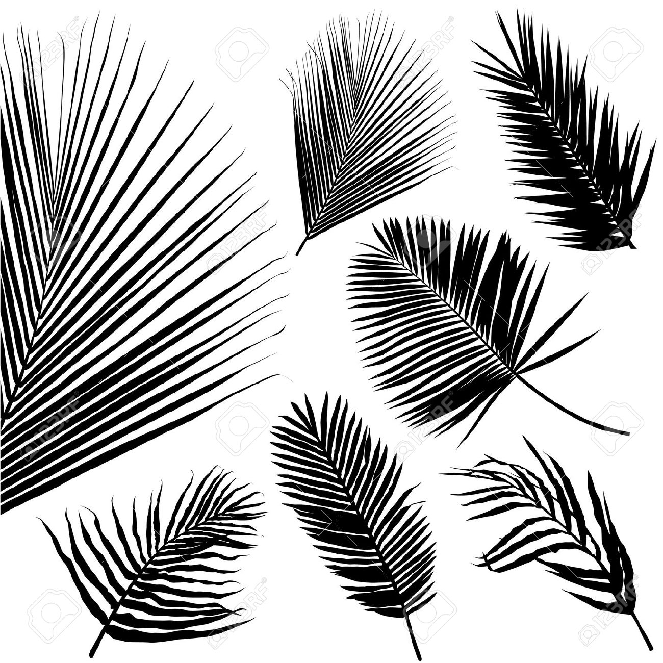 Free Palm Branch Cliparts, Download Free Palm Branch Cliparts png