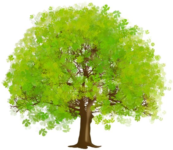 Large Green Tree PNG Clipart 