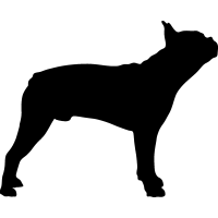 Terrier Dogs Dog Breeds Vector Art Vector Graphics DXF Clip Art