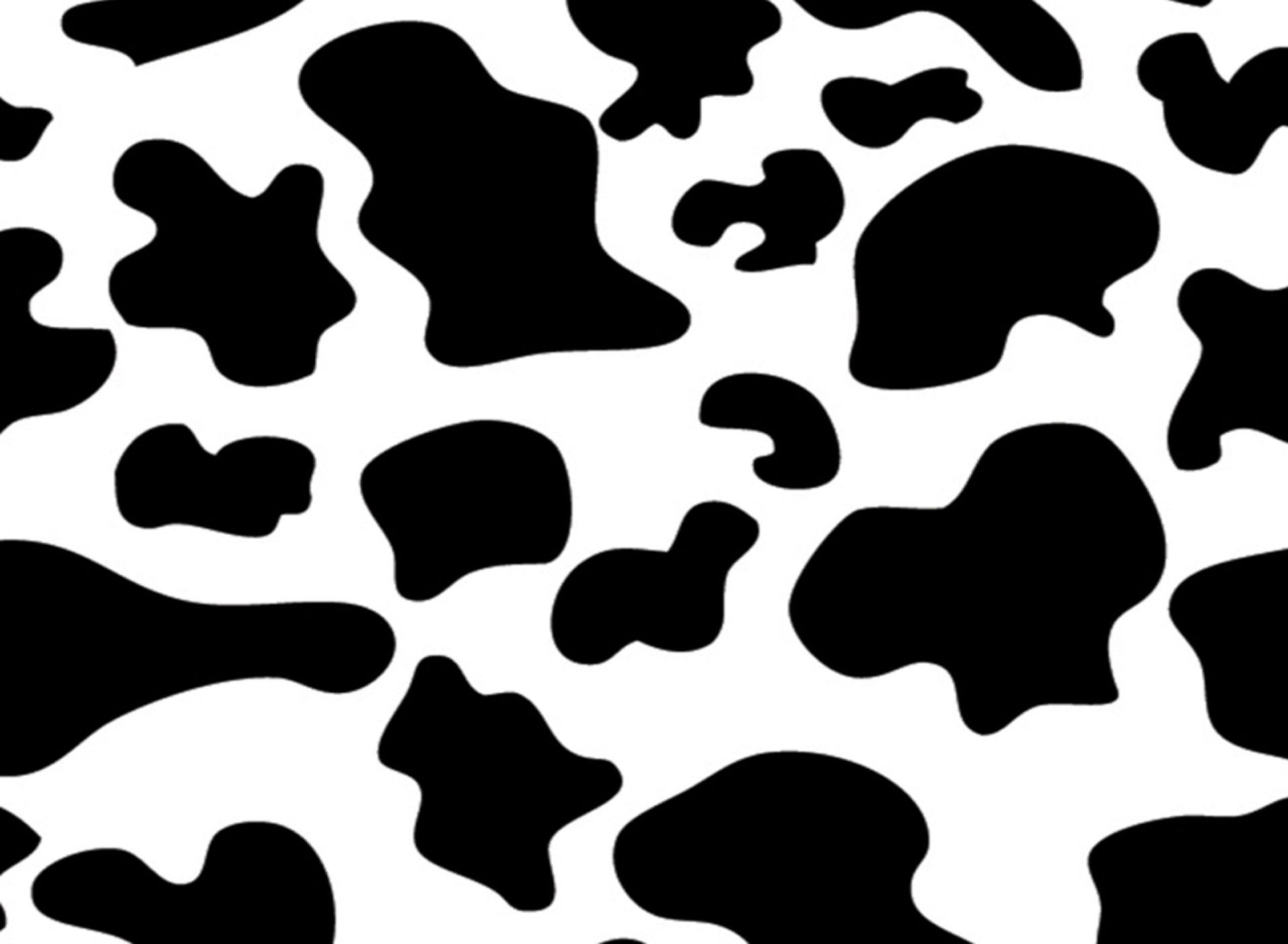 Cow Print Printable Printable Word Searches