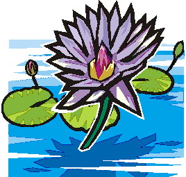 Water lily Clip Art