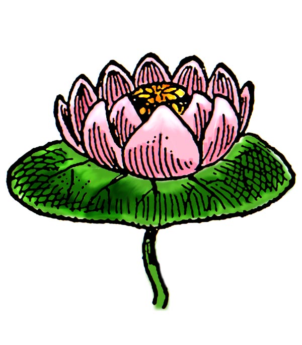 Water Lily Border Clipart