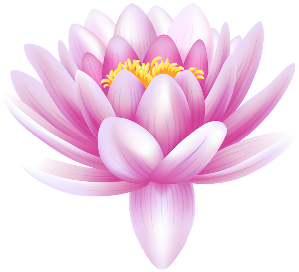 Water Lily Transparent PNG Clip Art Image