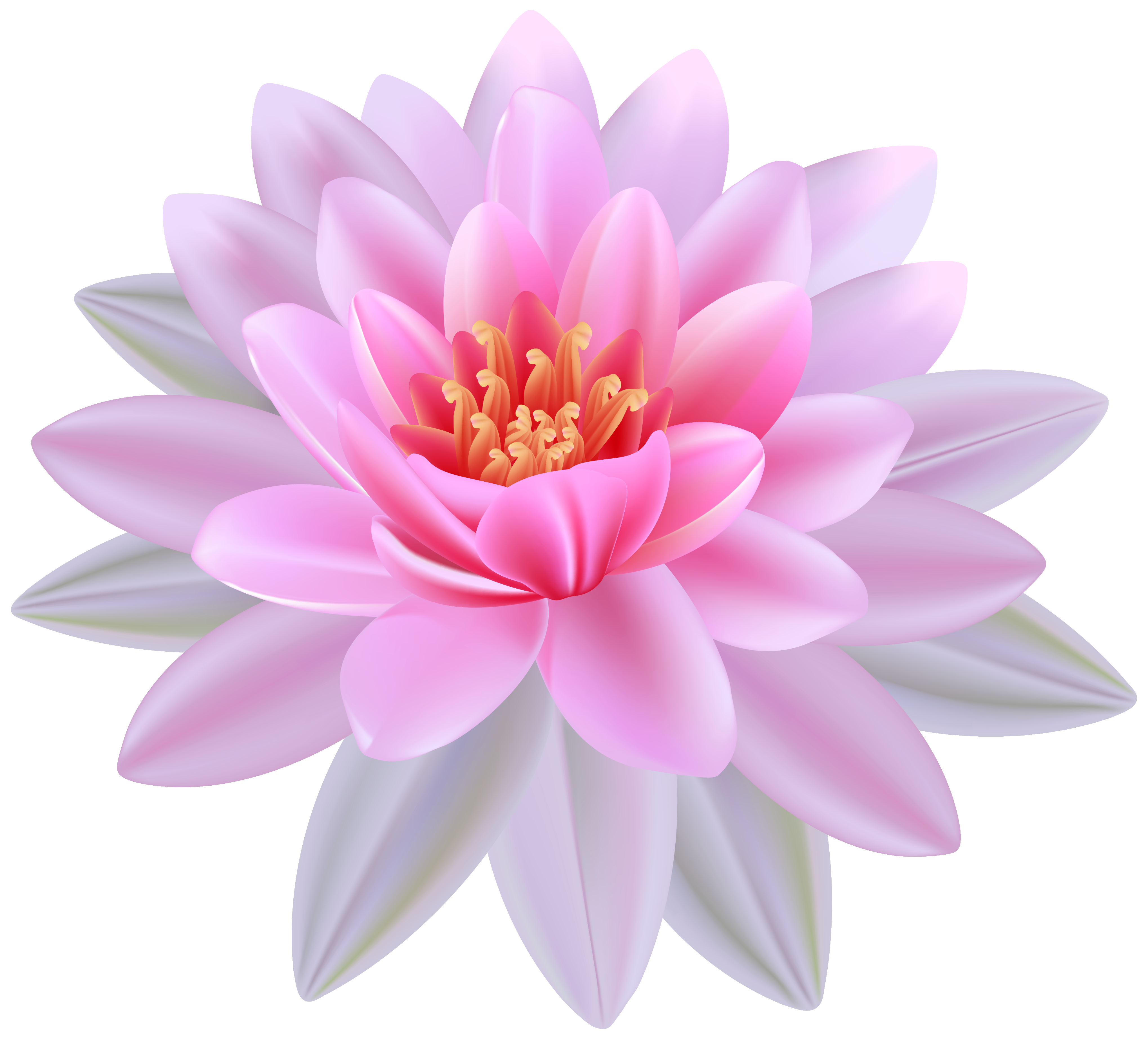 Free Water Lily Cliparts, Download Free Water Lily Cliparts png images