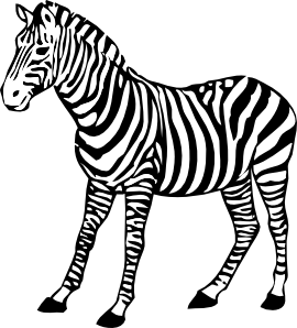 Zebra Clip Art at Clker