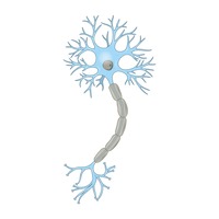 Free Neuron Cliparts, Download Free Neuron Cliparts png images, Free
