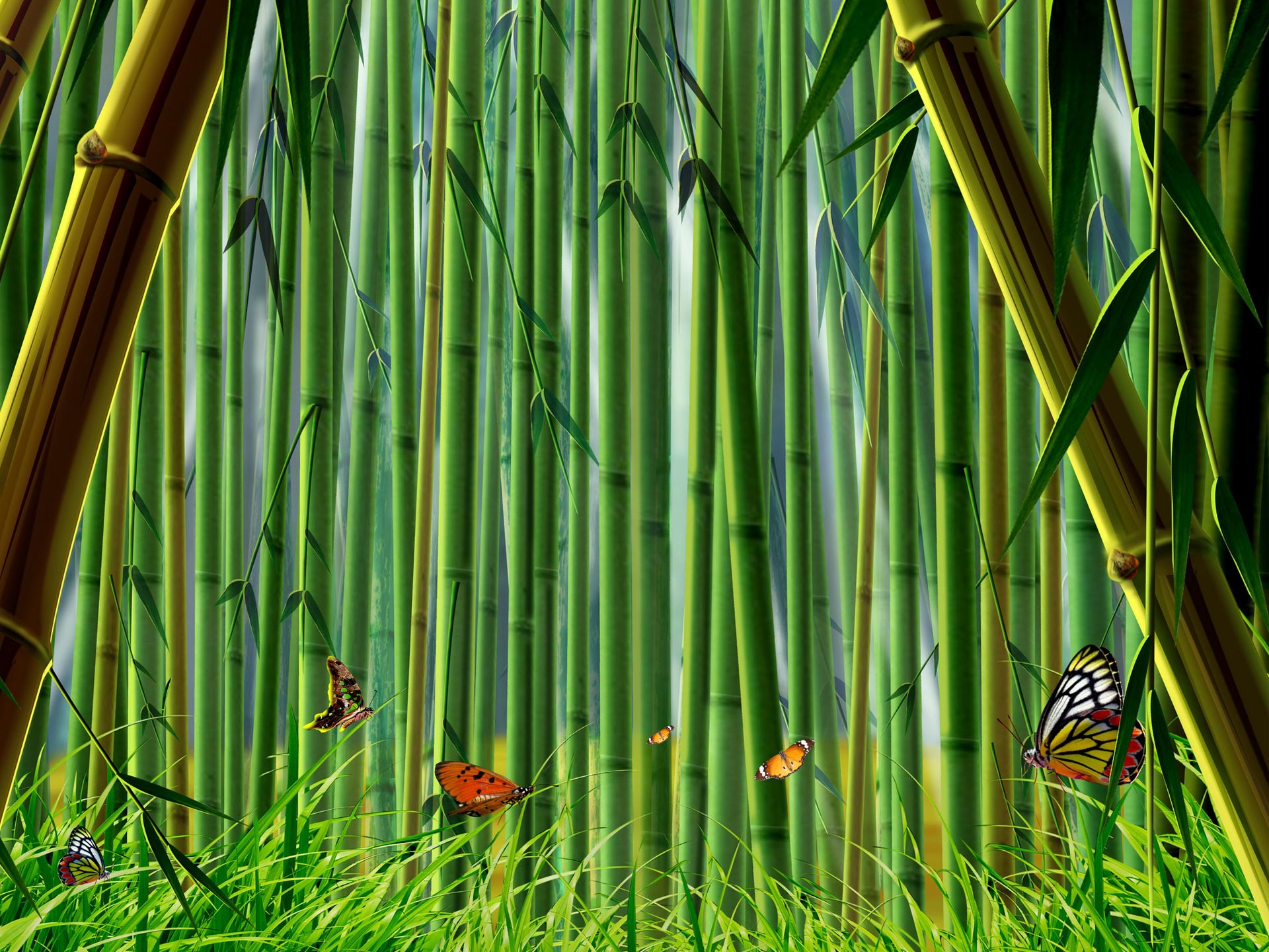 Free Bamboo Background Cliparts, Download Free Bamboo Background