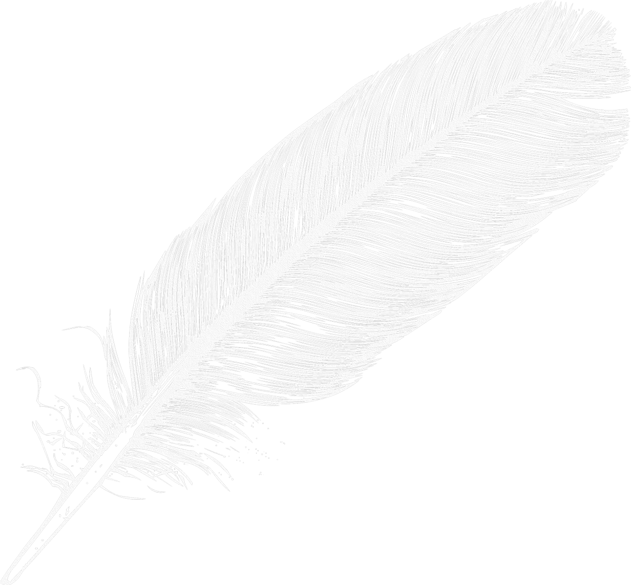 Large White Transparent Feather PNG Clipart