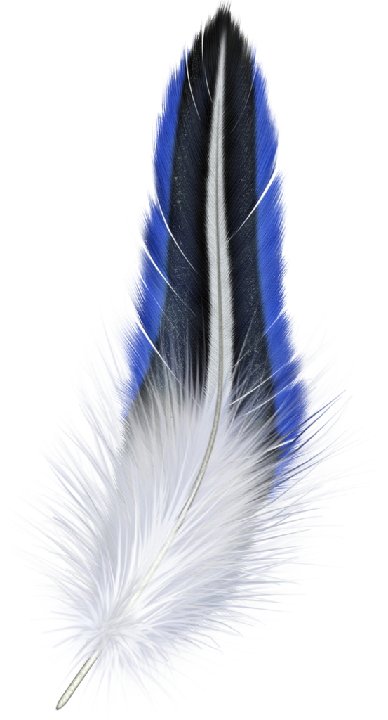 Blue_and_White_Feather_Clipart.png?m=1358636400
