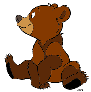 Bear