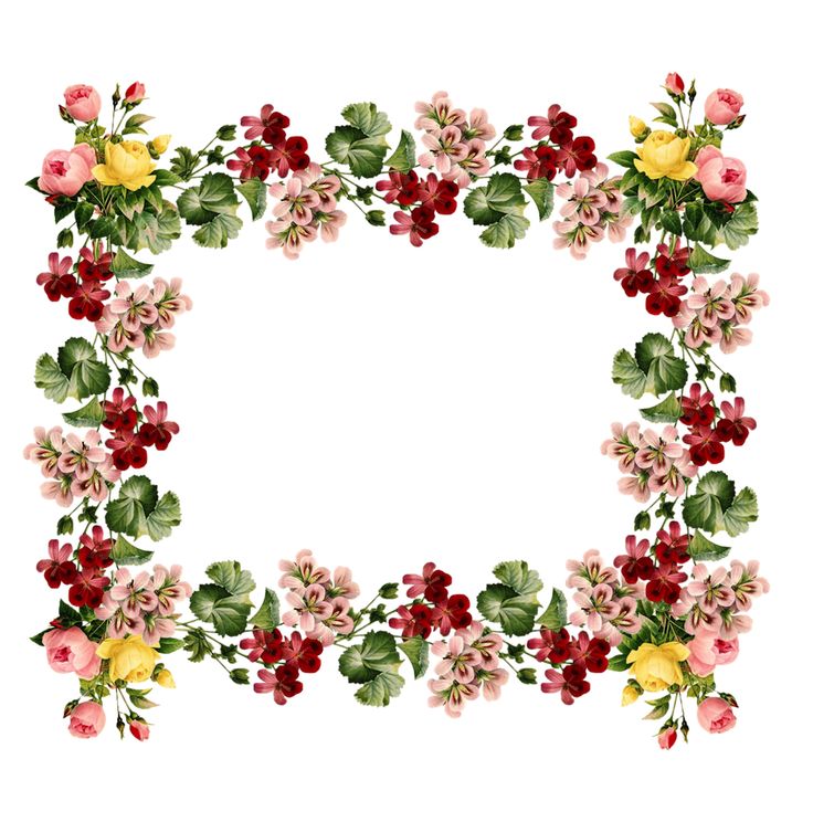 Free Crop Border Cliparts, Download Free Clip Art, Free Clip Art on