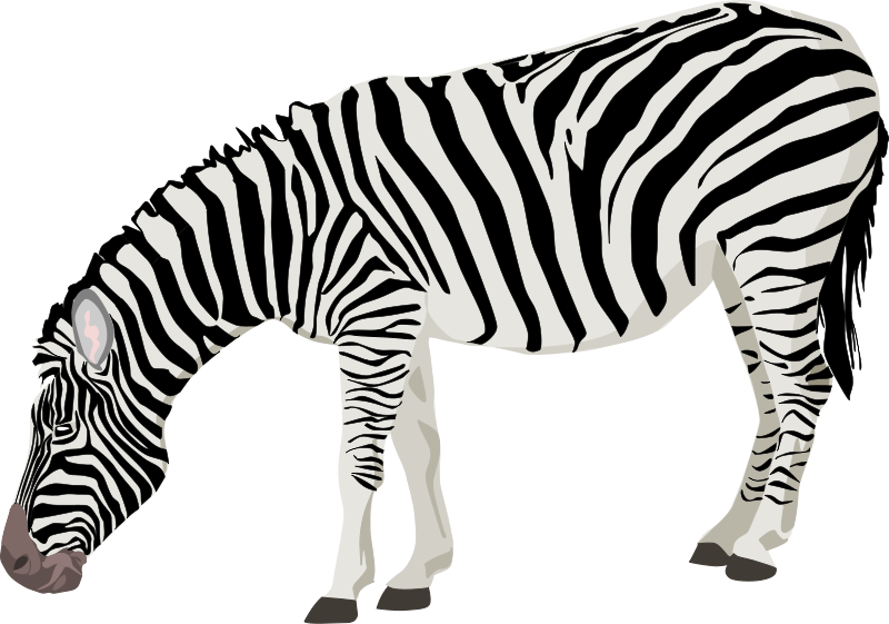 Animal clipart with transparent background black and white