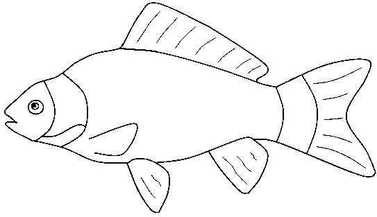 Fish outline clipart black and white