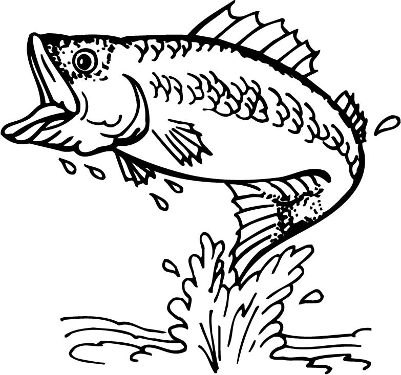 Bass Fish Jumping Coloring Page, bass fish clipart. Coloring