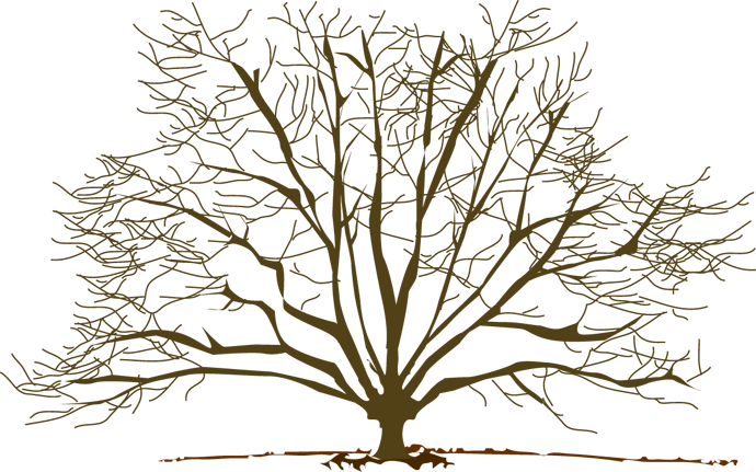 Featured image of post Winter Tree Clipart Transparent
