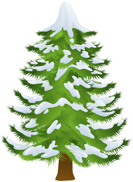 Winter Pine Tree Transparent PNG Clip Art