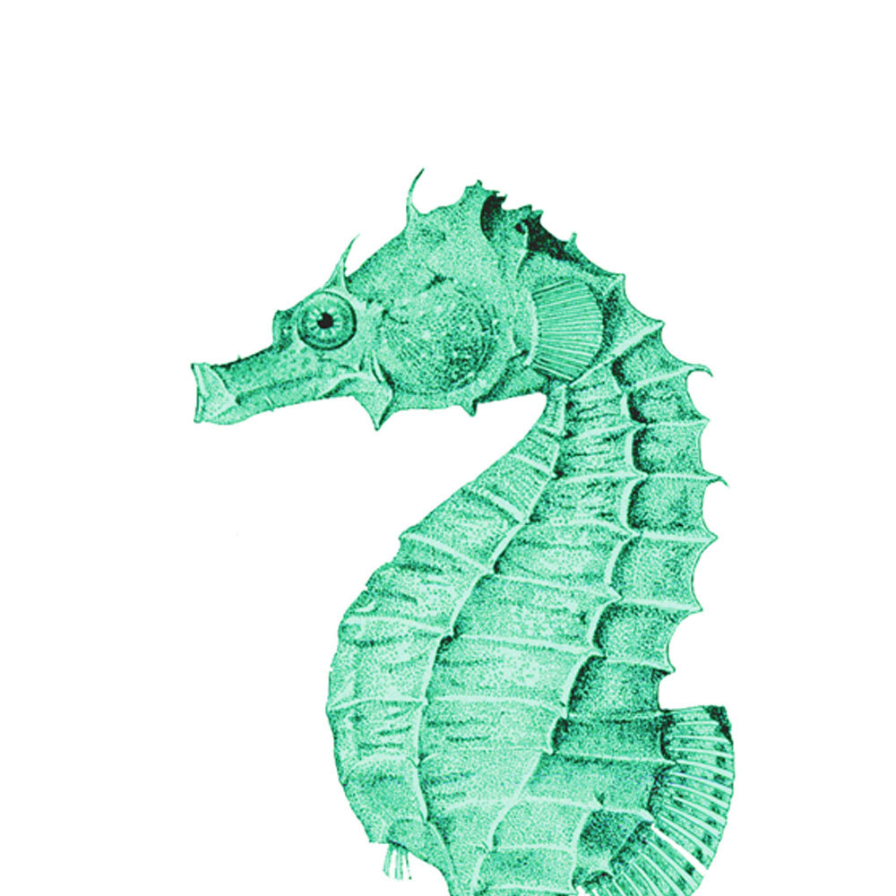 Seahorse Mint Green Nautical Vintage Style Art by brightforest