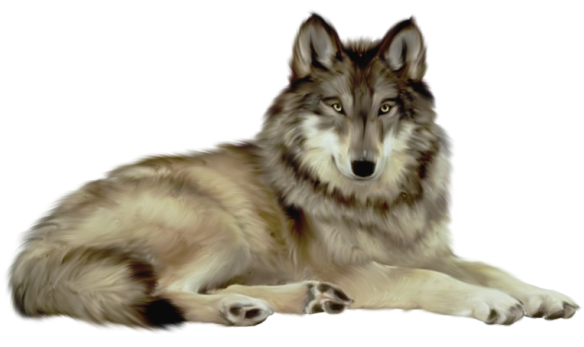 Animal clipart with transparent background